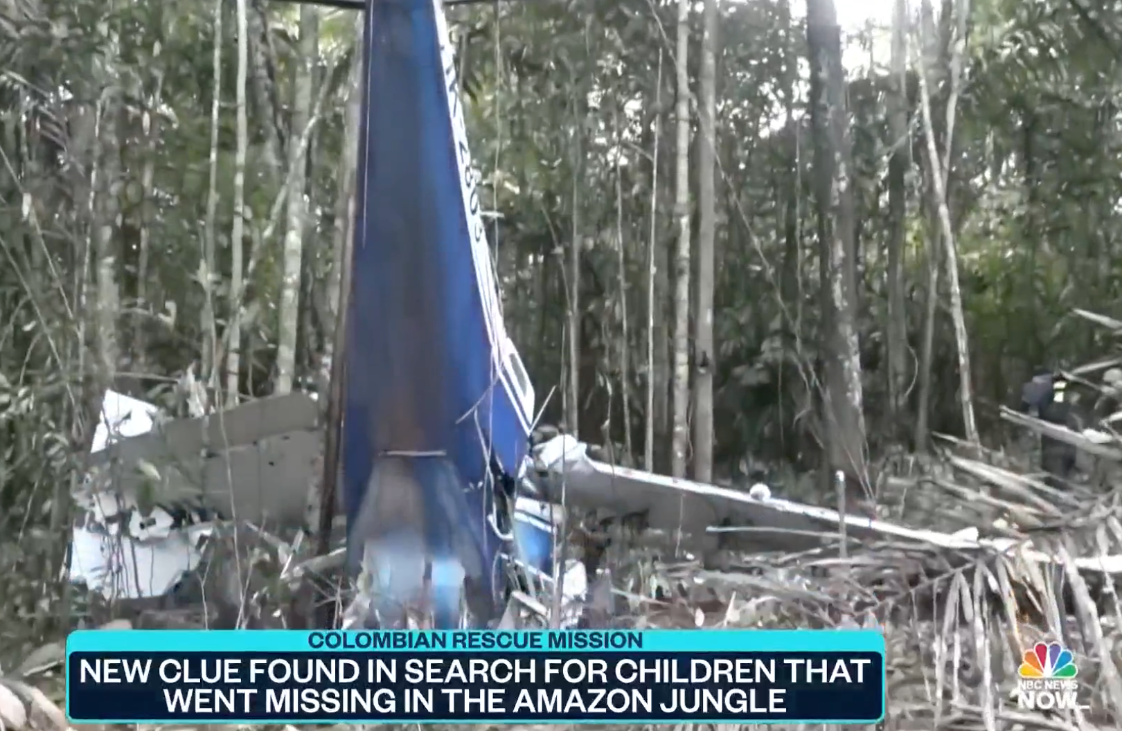 Fresh hope in search for four missing children a MONTH after their plane  crashed in