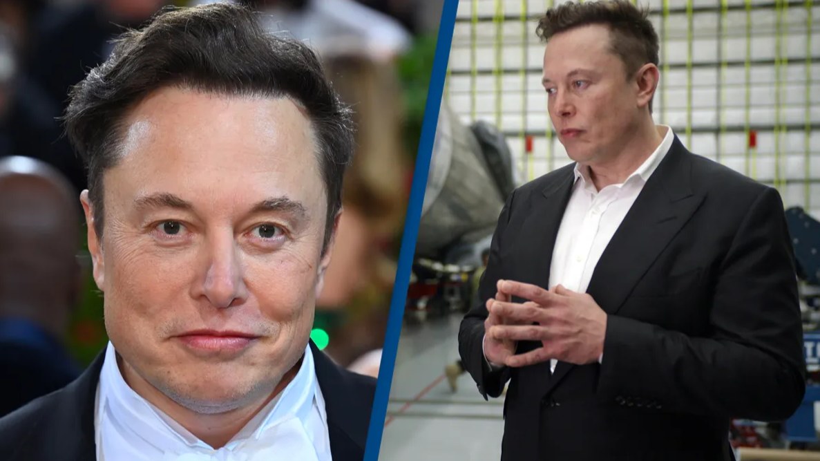 Elon Musk briefly lost world's richest person title to Louis