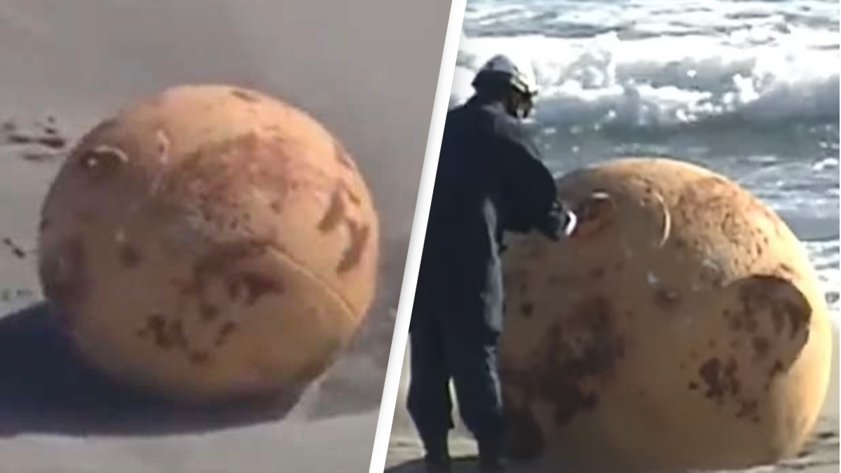 Mysterious giant sphere that washed up on Japanese beach appears to