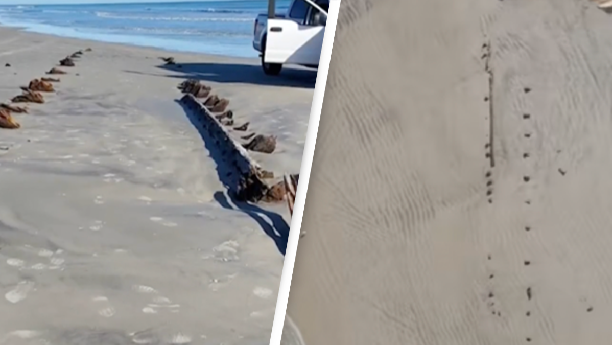 Mysterious structure is starting to appear on Florida beach