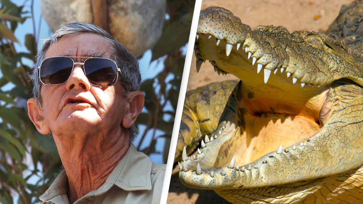 Most famous crocodiles in the NT