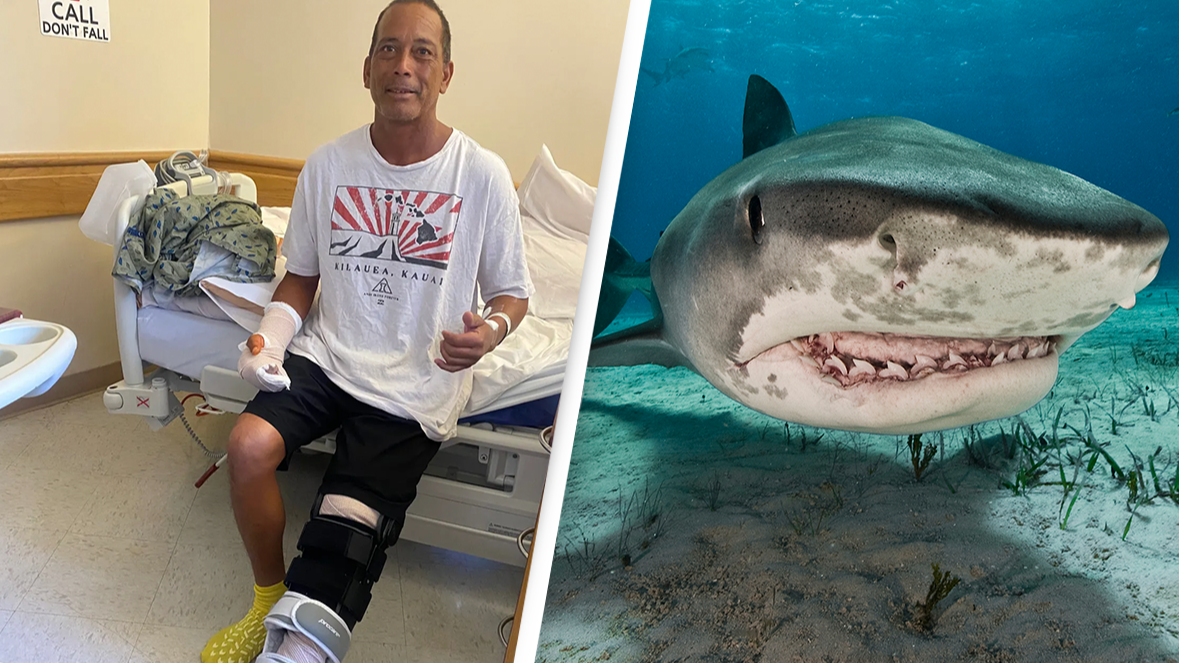 Surfer recalls horrific details of shark attack where he nearly lost his leg