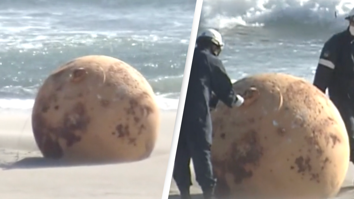 Mysterious giant sphere that washed up on Japanese beach has been
