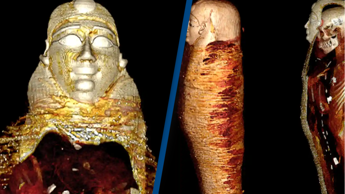Digital scan shares intimate details about mummy from 2,300 years ago