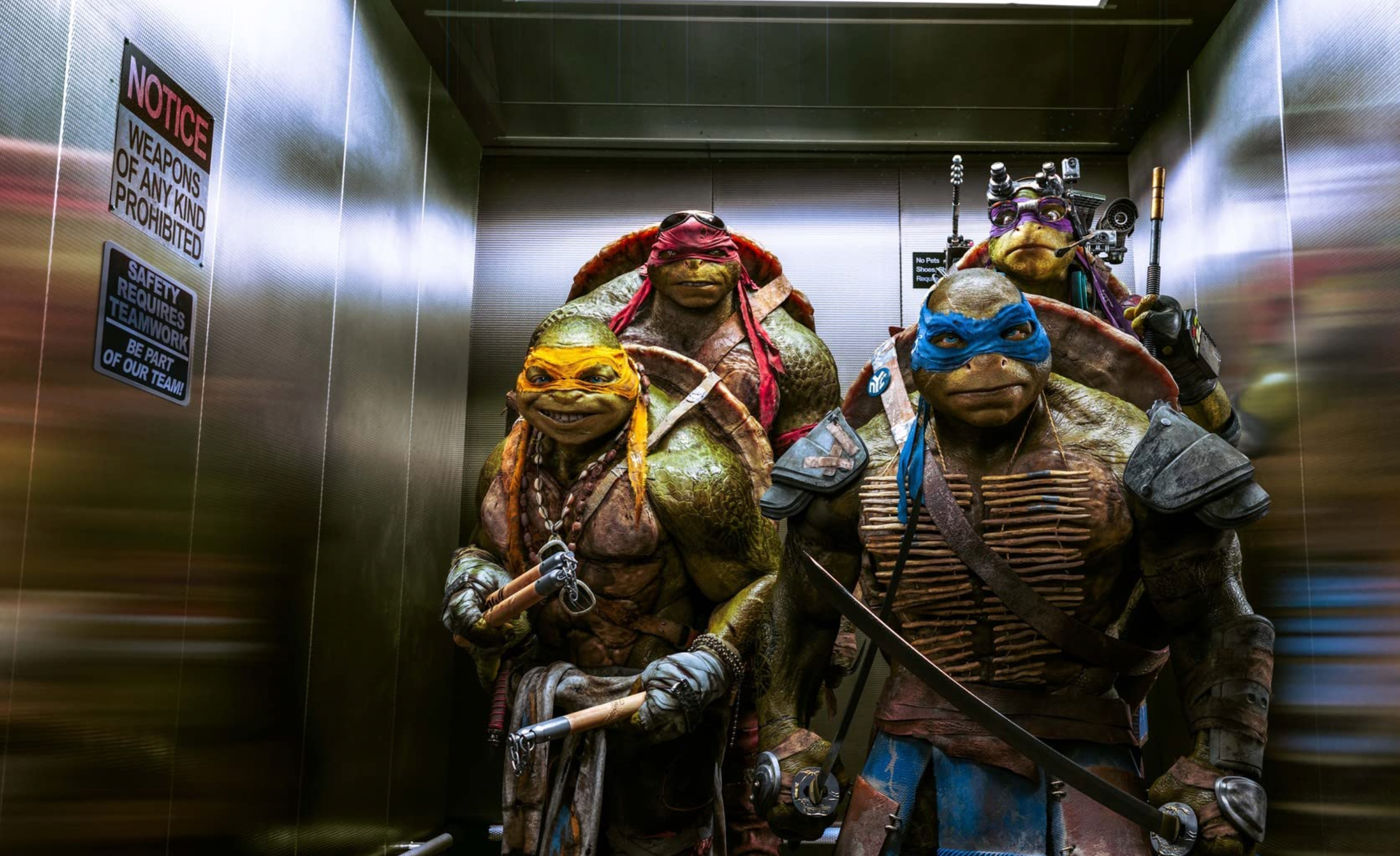 Teenage Mutant Ninja Turtles confirmed to be Black teenagers in their human  form