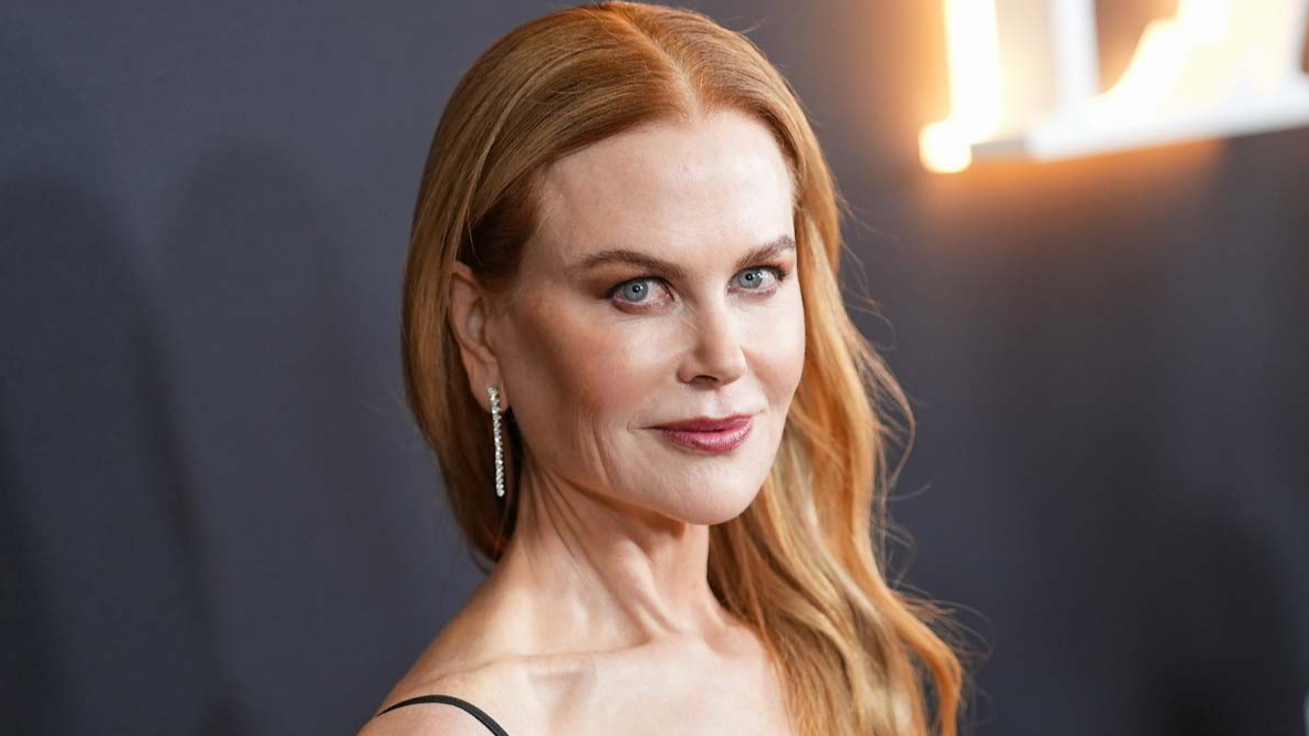 Bulv r Zpr vy ZAIMAVE cz