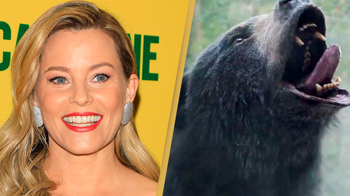 Elizabeth Banks is worried her very gory R-rated Cocaine Bear film could end her career - Vimarsana News