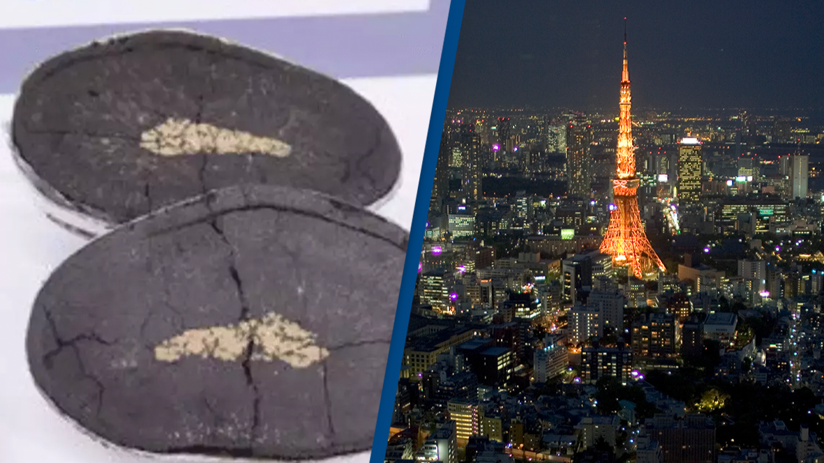 Japan has made $26,290,780,000 rare mineral discovery that