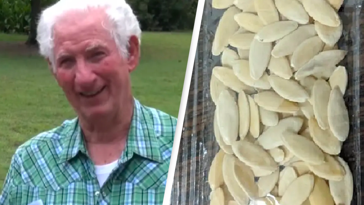 Arkansas man planted mystery seeds delivered from China to grow massive unstoppable fruit - Vimarsana News