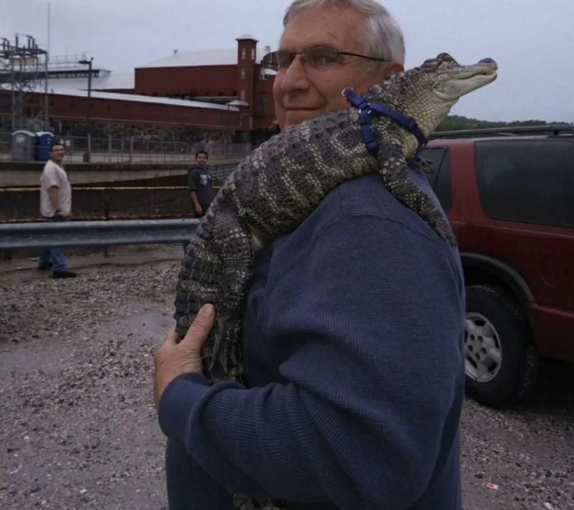 Fan who tried to bring emotional support alligator denied entry