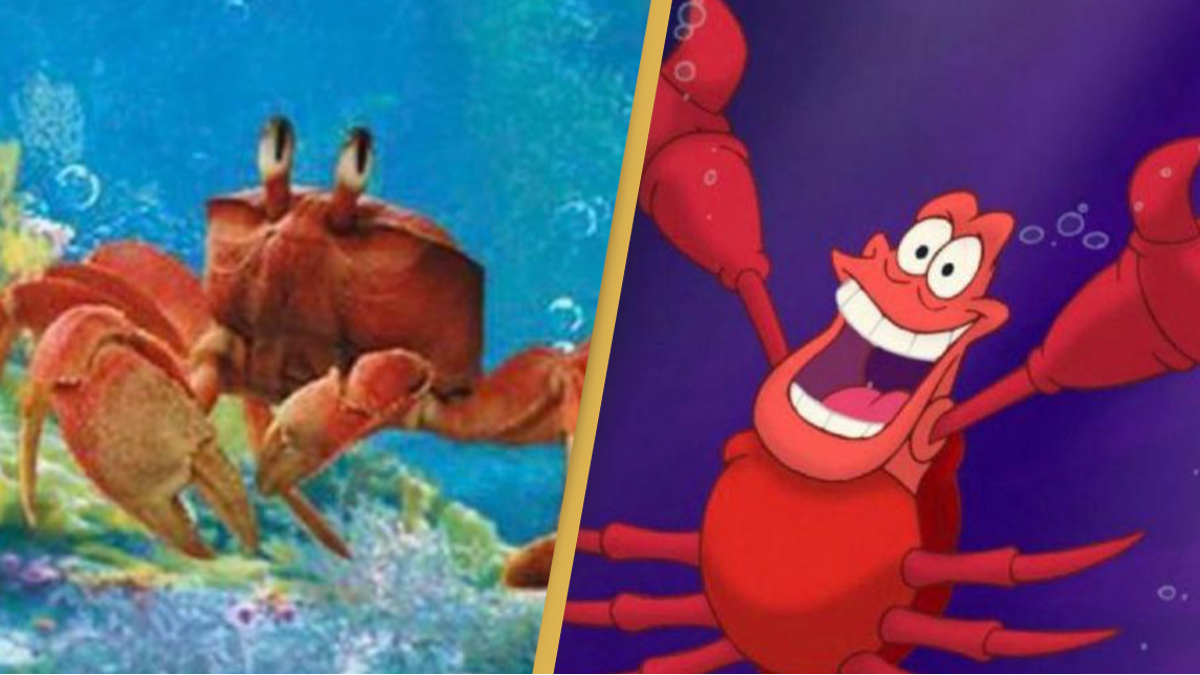 People’s minds blown after first look of Sebastian in live action