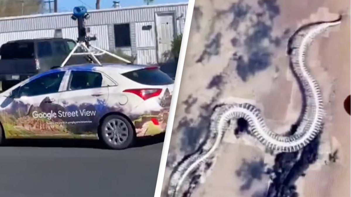 Viral Video: Giant Snake Skeleton Spotted in France on Google Maps. Is It  Real? Watch.