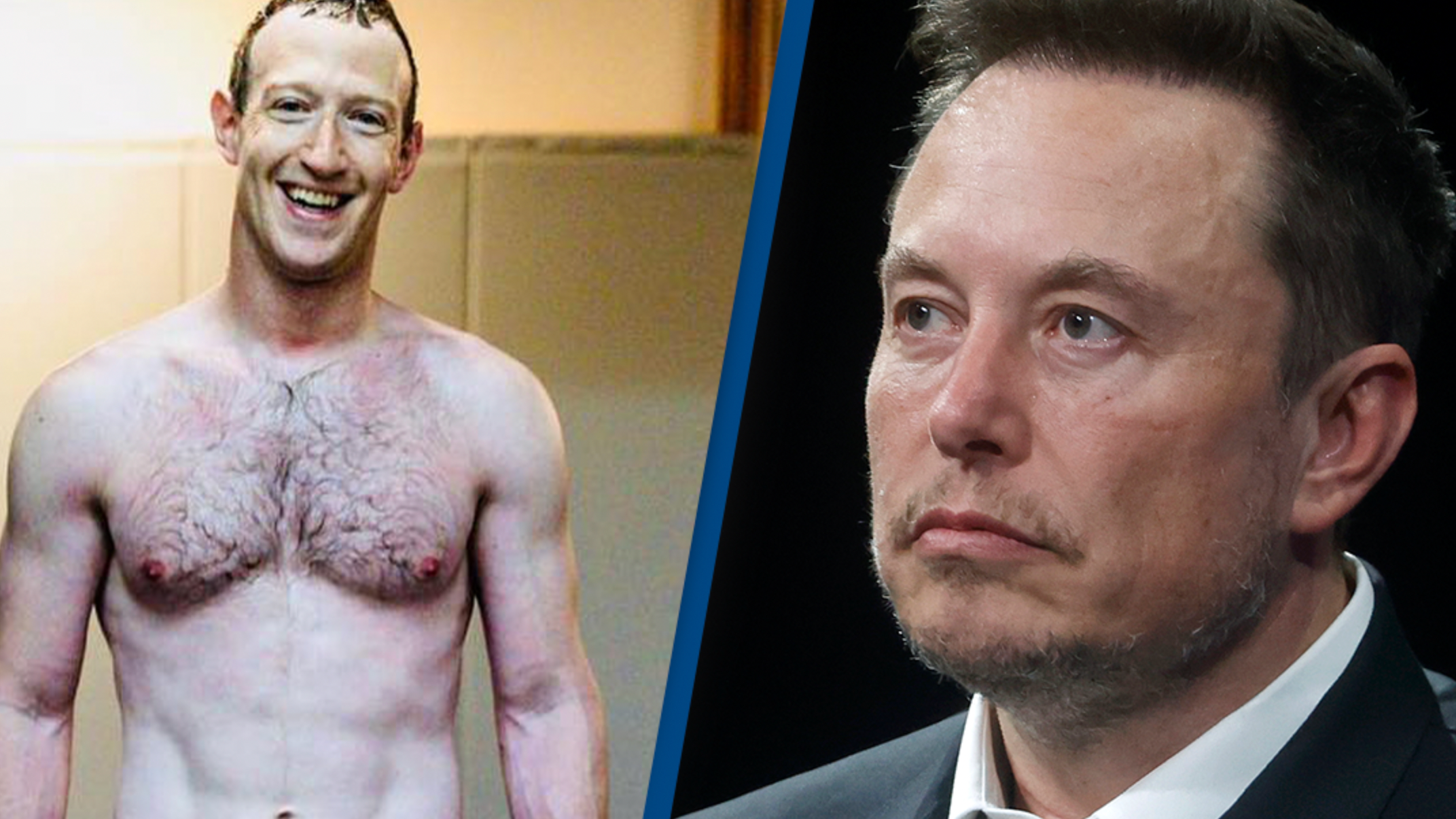 A 'Cage Match' Between Elon Musk and Mark Zuckerberg May Be No Joke - The  New York Times