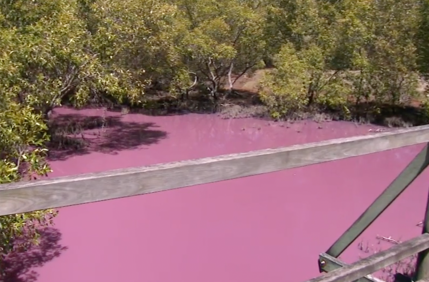 Locals warned to stay away after Australian swamp mysteriously turns pink