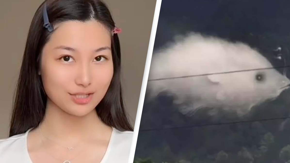 Viewers stunned by chilling optical illusion that 'unveils your biggest fear in life'