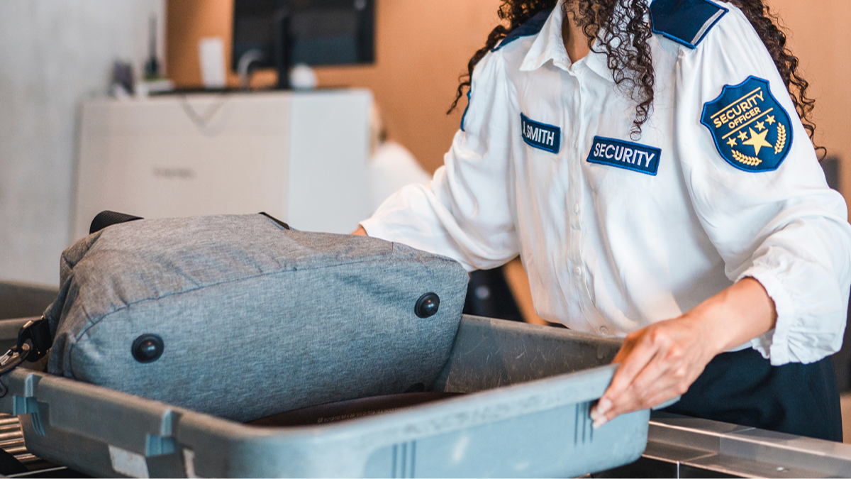 can you bring sex toys through tsa How to Smuggle Sex Toys Through the Airport – FlyerTalk main image 0
