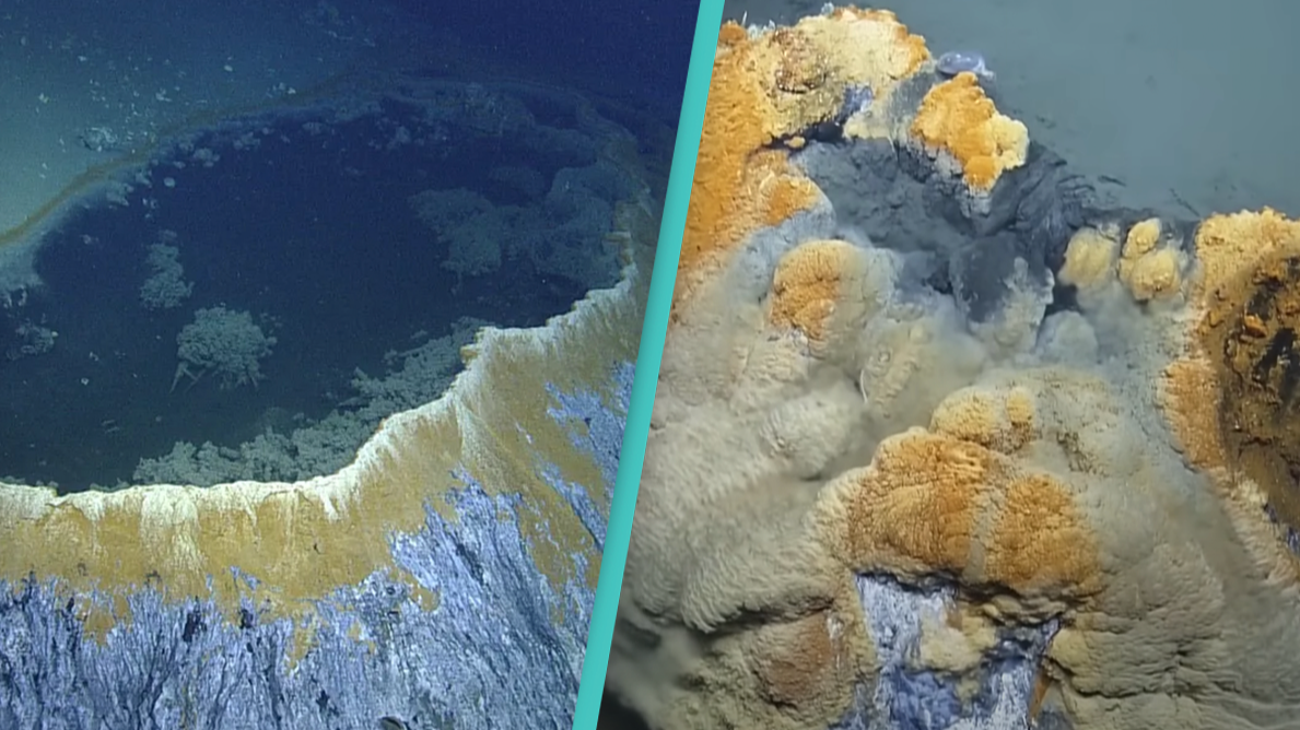 Underwater deadly 'hot tub of despair' kills almost everything