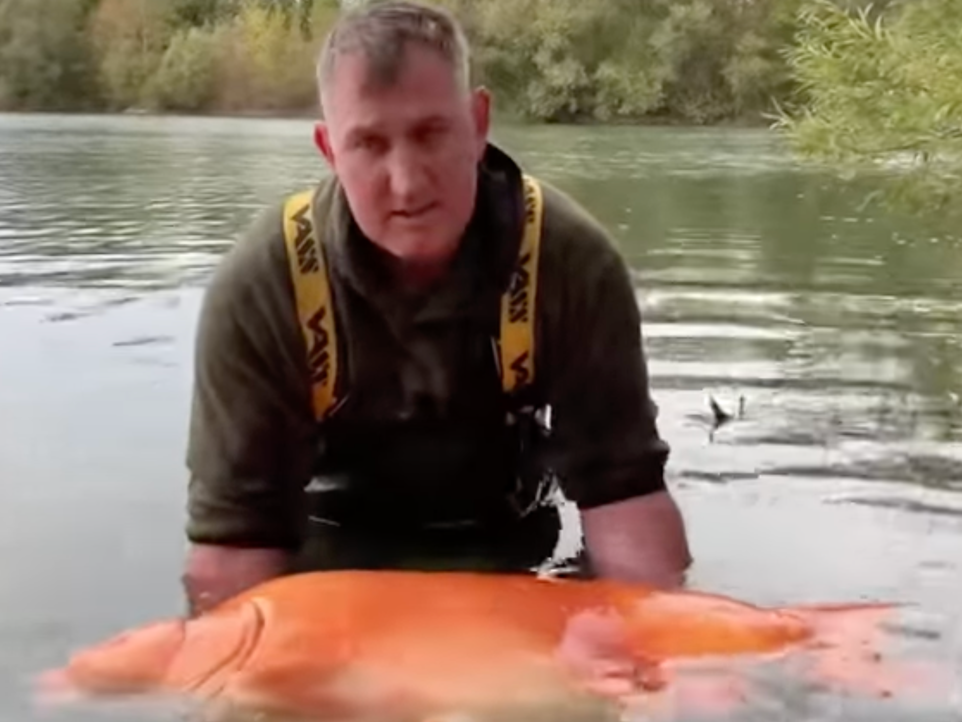 Brit fisherman catches giant goldfish-like carp weighing the same