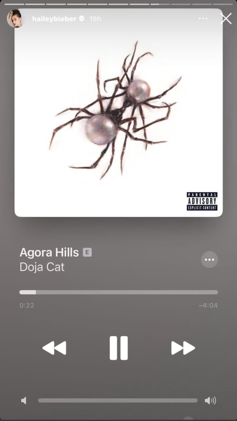 Does Doja Cat's Agoura Hills refer to Backrooms? Exploring the