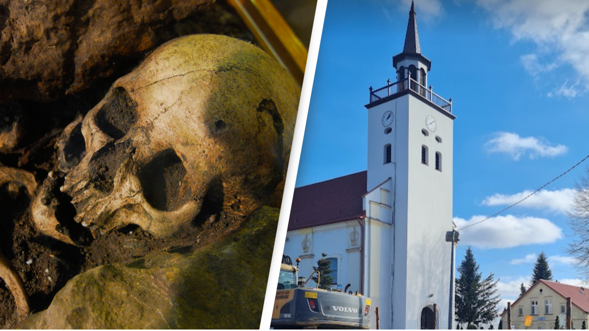 Grave containing 450 headless 'vampires' discovered during roadworks