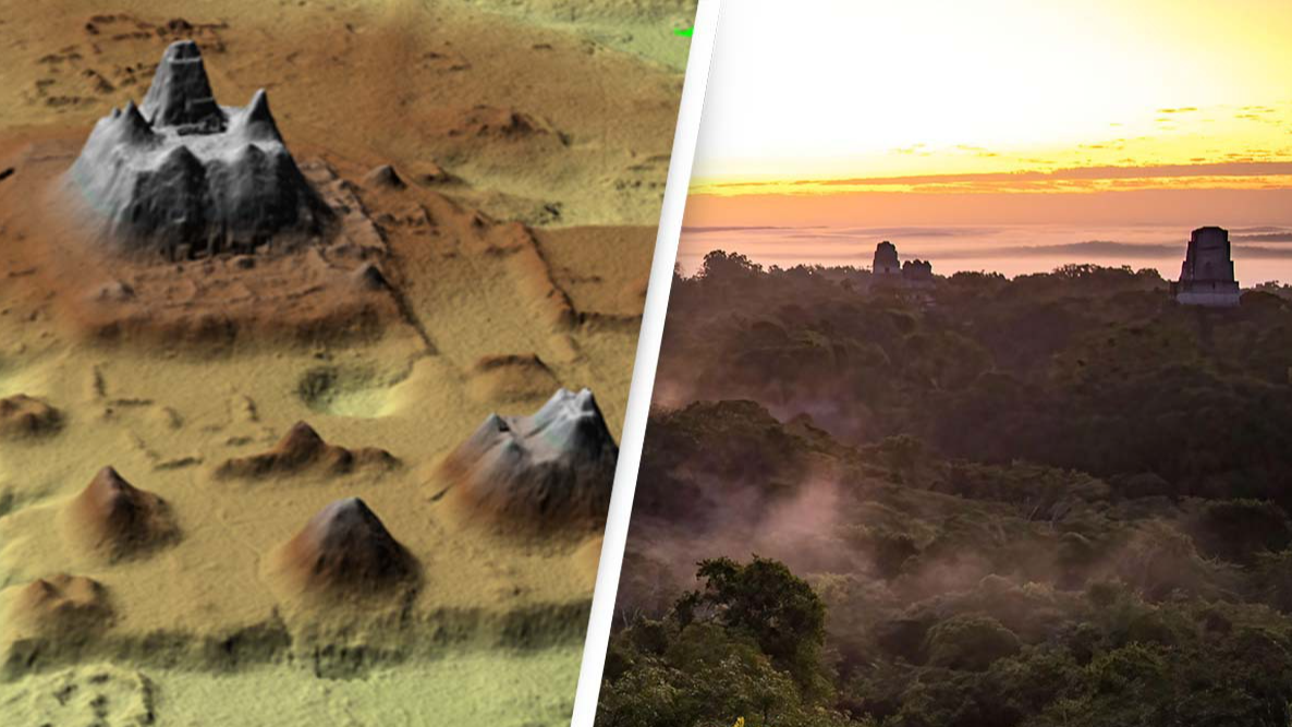 Ancient Maya city has been discovered under the Guatemala rainforest in now 'inhospitable' area - Vimarsana News