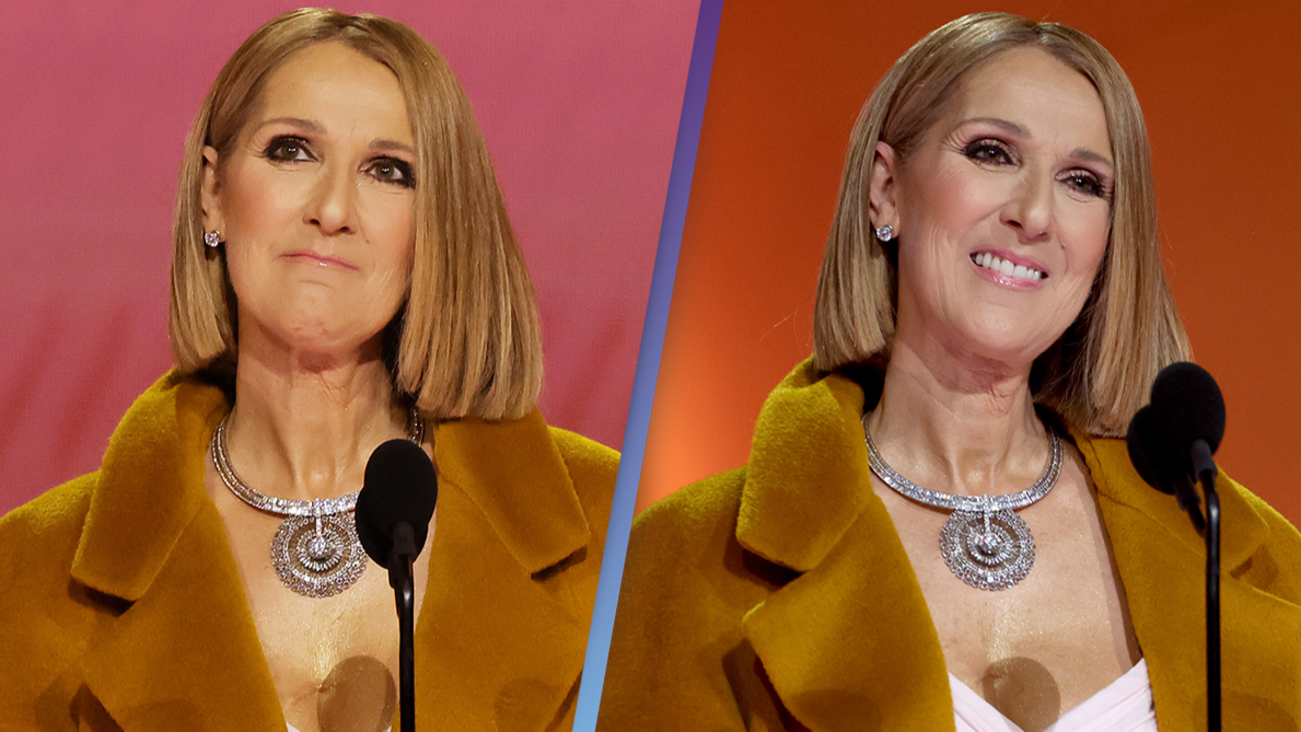 Celine Dion Has Finally Convinced Us To Try The Lycra Look