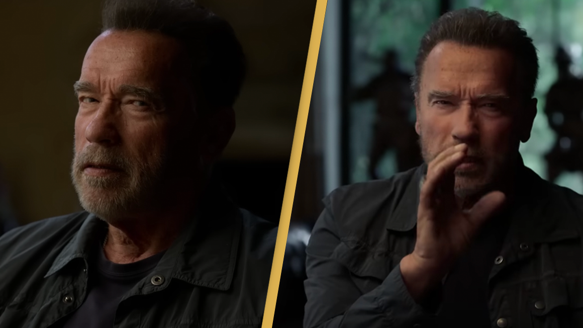Arnold Schwarzenegger apologises for groping women and admits it was wrong