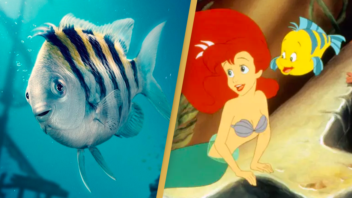 Little Mermaid fans say Disney did Flounder ‘dirty’ in new live action