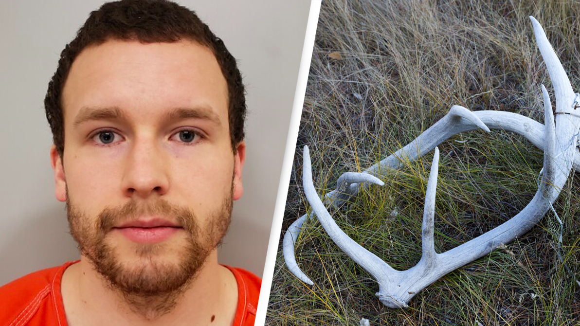 Dad covered in blood confesses to police that he beat a man to death with moose antlers - Vimarsana News