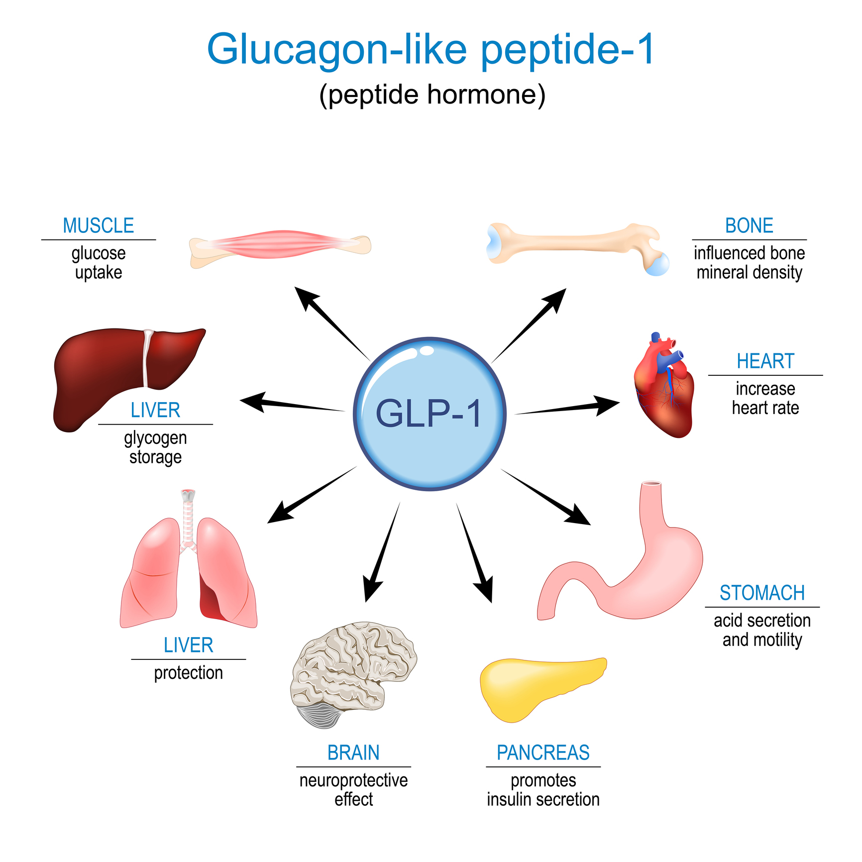 over the counter glp 1 The Truth About GLP-1 Compounding and FDA Rules