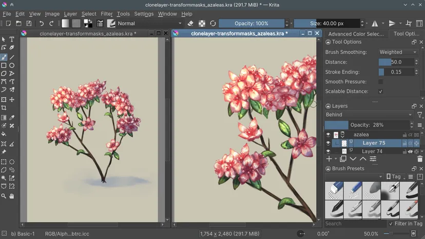 the Krita interface showing multiple views of a red and green plant image