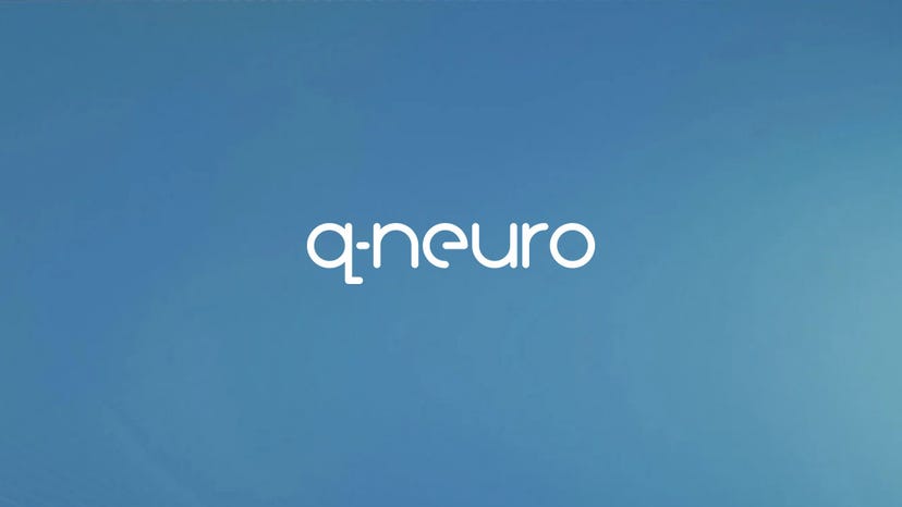 qneuro.jpg