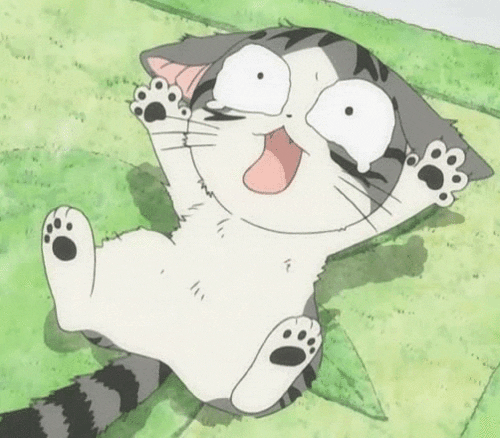 cat_20(2).gif