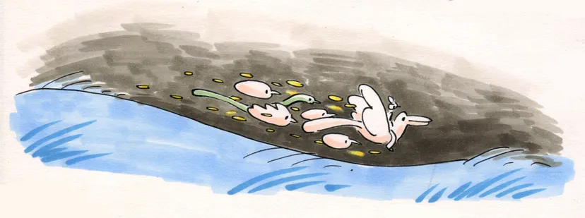 An early concept that shows a 'flock'