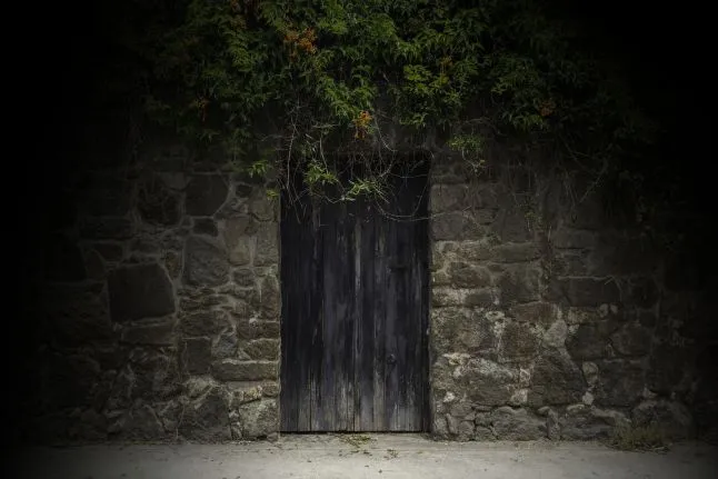 Photo of a wooden door in a stone wall.