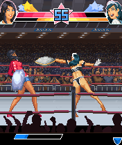 2007_05_28_pf5.gif
