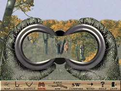 Image 1. Binoculars View