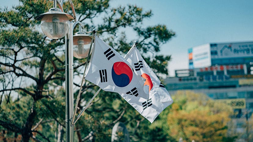 Two flags waving in front of a tree, both are the flag of South Korea