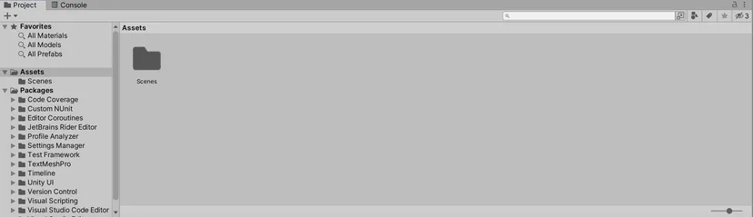 The Project view