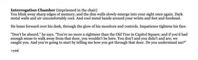 Screenshot from Andrew Plotkin's Spider and Web.