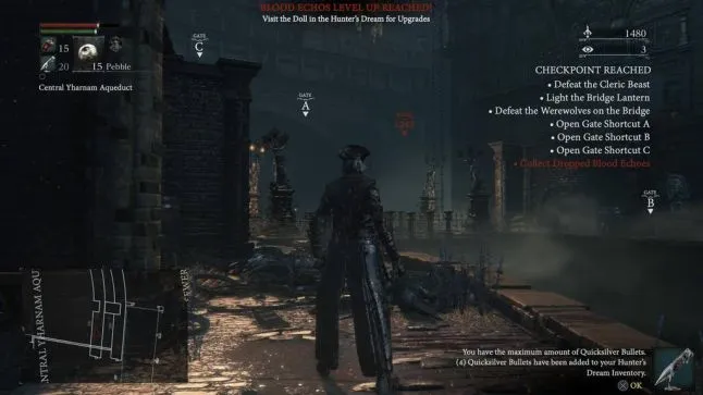 Dark Souls & Bloodborne things, humanity restored - How many of
