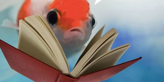 Keep reading...