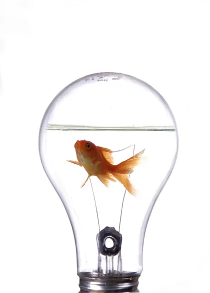 Not all innovations are particularly meaningful. Just ask the fish.