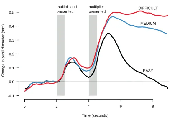 Programmer, Interrupted