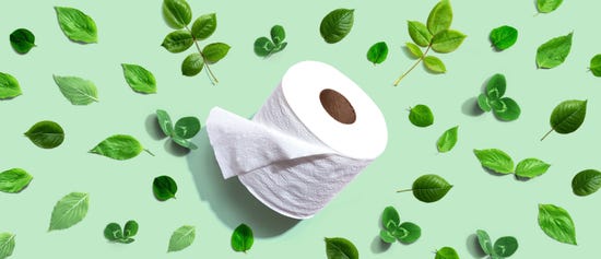सबसे अधिक इको फ्रेंडली टॉयलेट