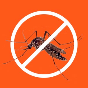 Contra o Aedes aegypti