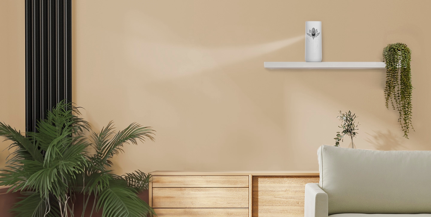 Automatic Sprays