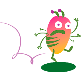 O que são os piolhos?