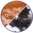 MELTS GREASE AND HAIR