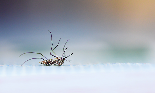 Cuidados ao armazenar
